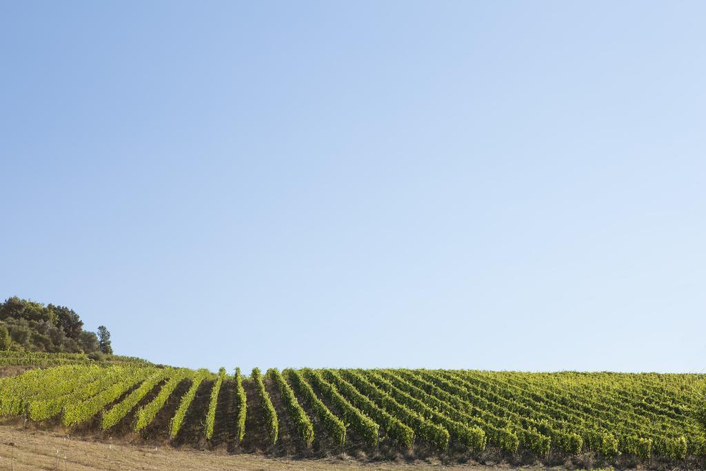 Quercia Al Poggio Vila Barberino di Val dʼElsa Exterior foto